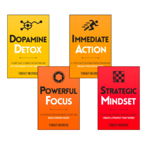 Productivity Series (4 book series) by Thibaut Meurisse (Author)
